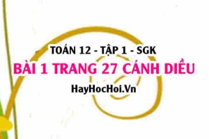 Bài 5 trang 27 Toán 12 tập 1 Cánh Diều